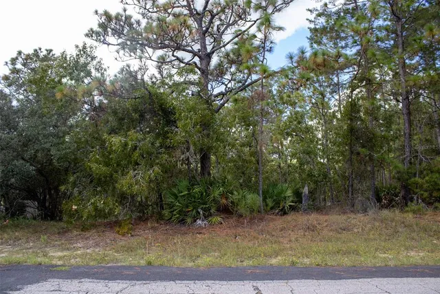 a view of a yard with plants and trees