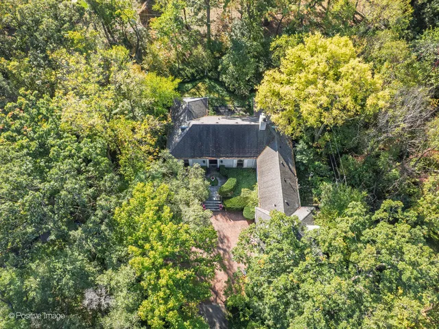 a view of a tree in front of house