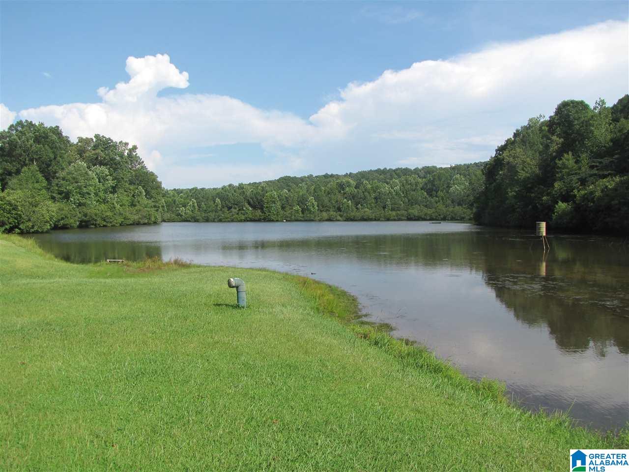 210 Church Farm Road Pell City, AL 35125 - Photo 3 of 29