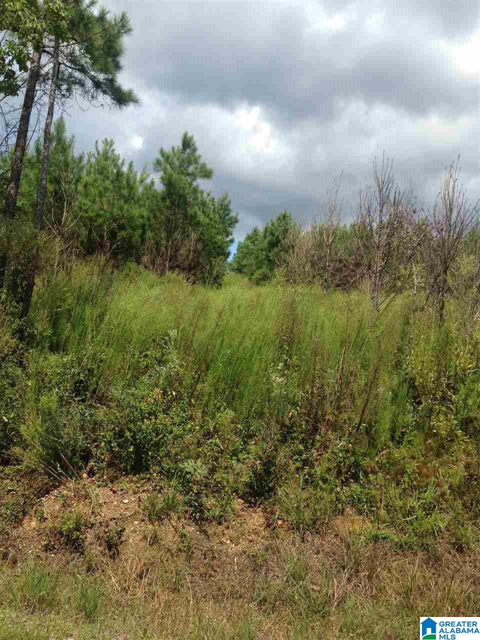 1033 Crossover Road, Unit 18 ACRES Cropwell, AL 35054 - Photo 10 of 10