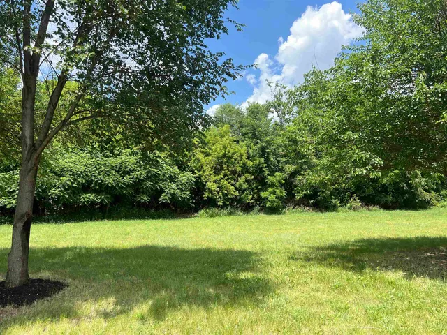 a view of a green yard