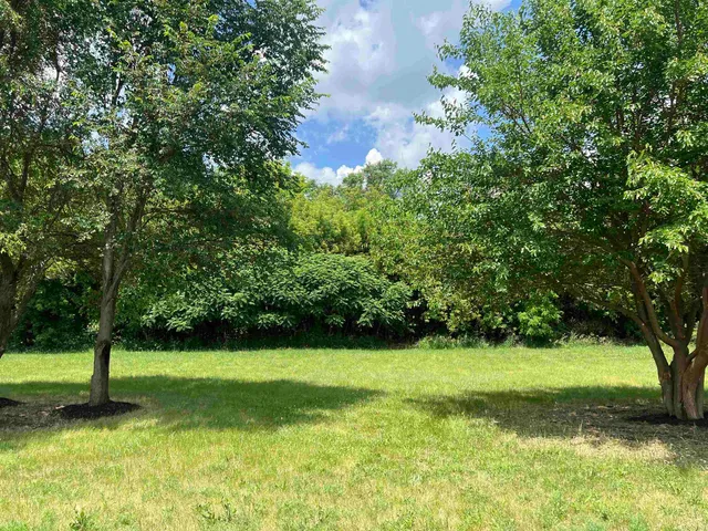 a view of a garden with a tree