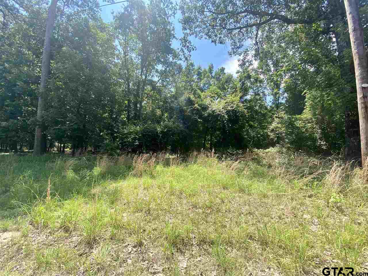 6-7 King Arthur Road Scroggins, TX 75480 - Photo 1 of 1