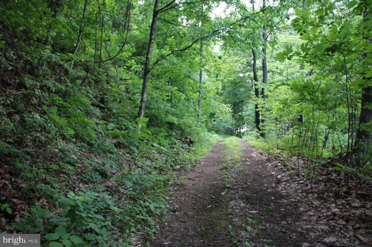 897 Helms Road Stanley, VA 22851 - Photo 47 of 60