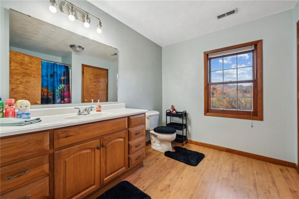 822 Old State Road Apollo, PA 15613 - Photo 16 of 22 a bathroom with a sink double vanity and a toilet