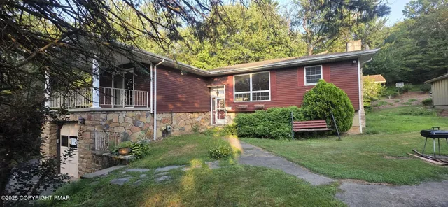 a view of a yard in front of a house with plants and large tree