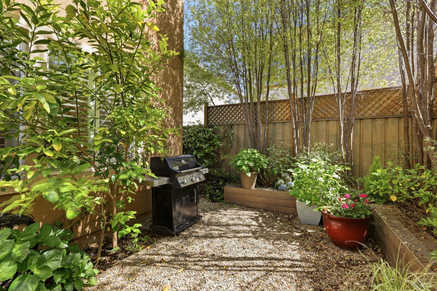 5533 Kennedy Place Rohnert Park, CA 94928 - Photo 32 of 63 a view of a backyard with potted plants and large trees