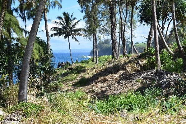 24 Lot Pepeekeo, HI 96783 - Photo 13 of 18