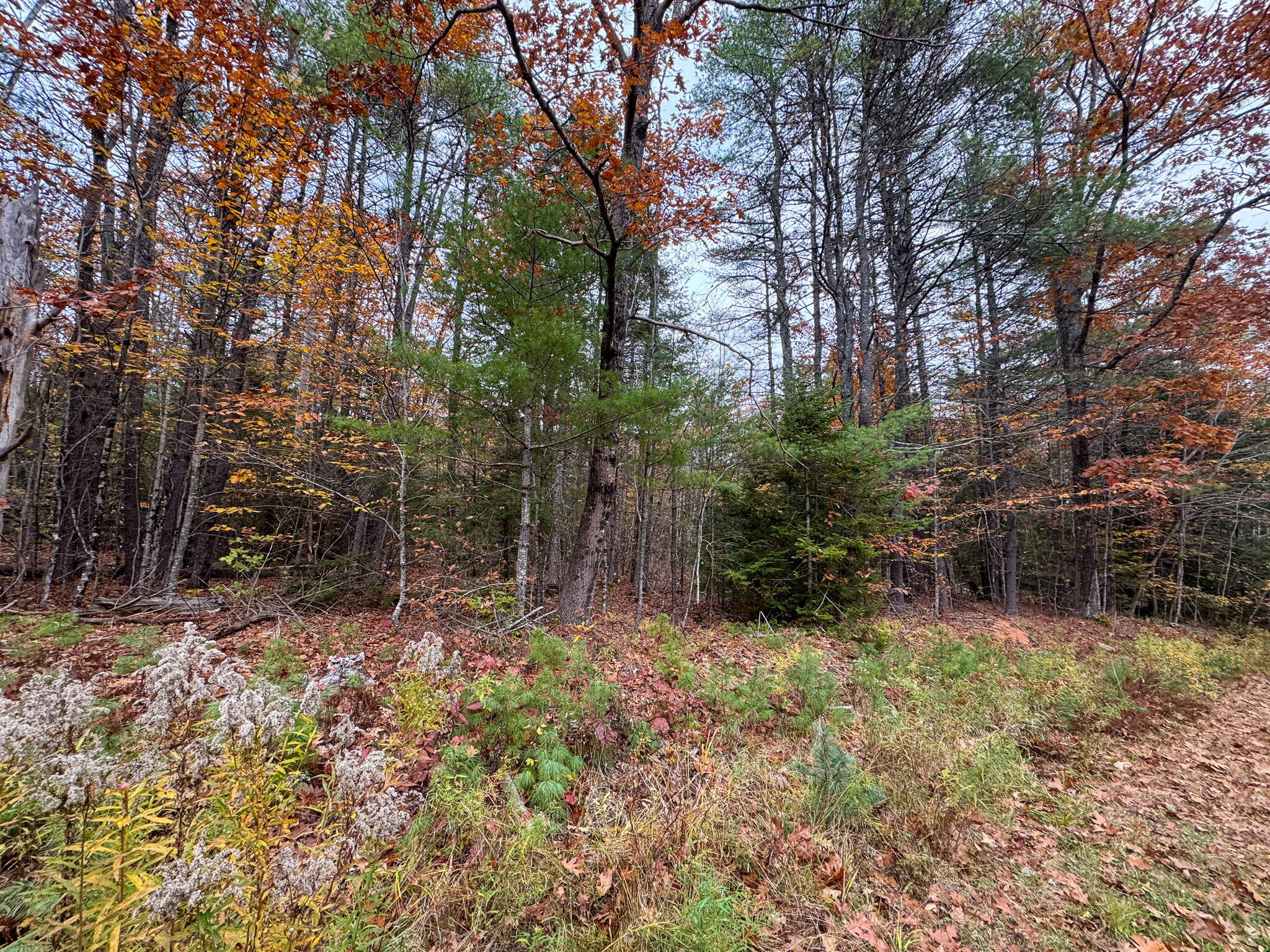 Lot 57 Dodge Road Dresden, ME 04342 - Photo 8 of 13 8