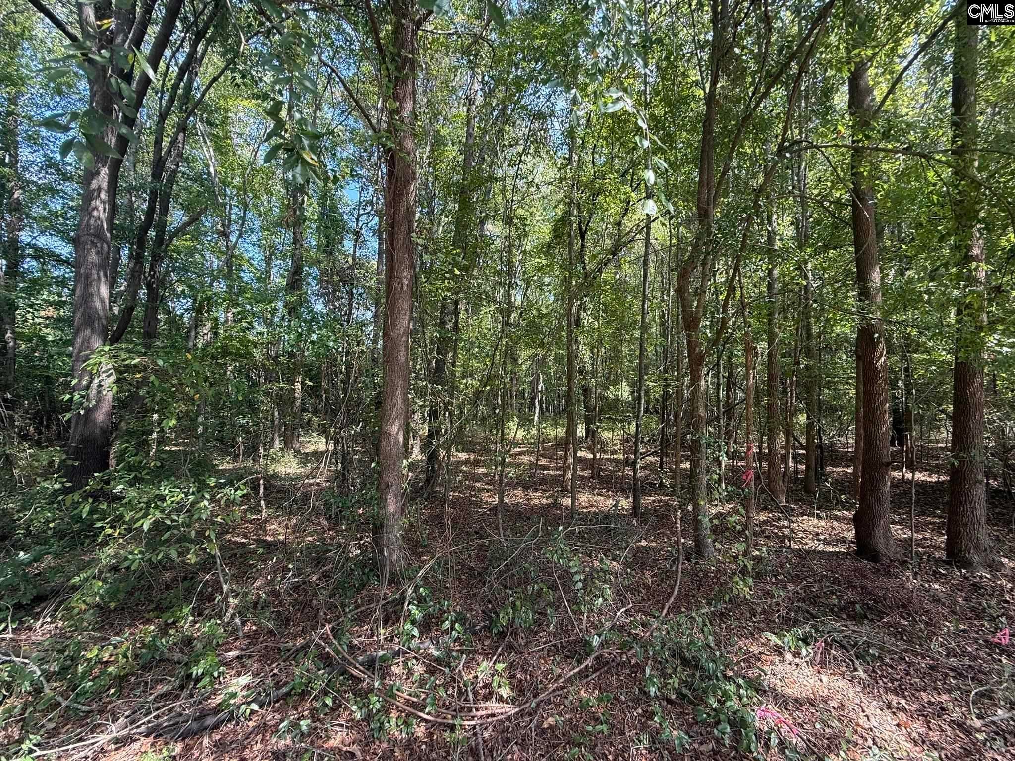 3938 Timrod Road Bethune, SC 29009 - Photo 2 of 2 Gallery Image 2