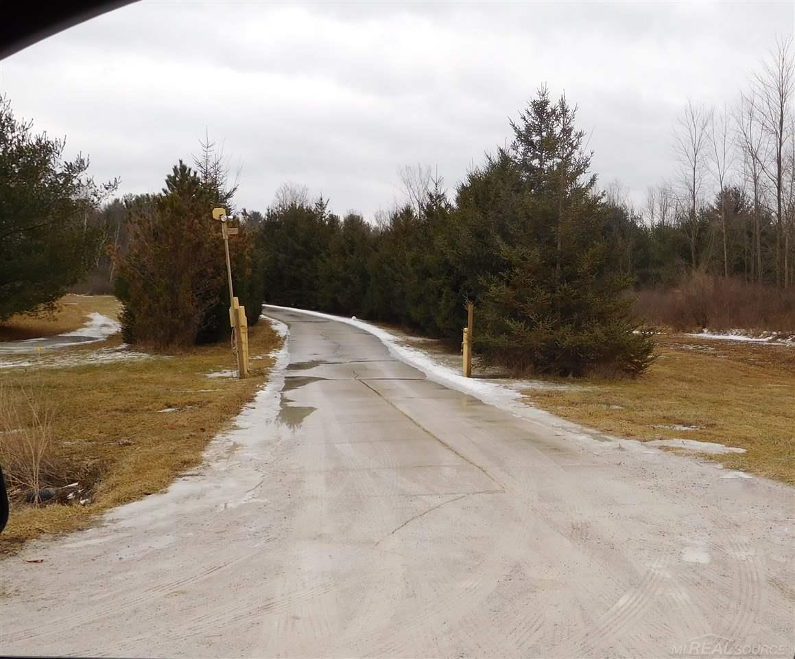 7247 Big Hand Road St. Clair, MI 48079 - Photo 4 of 28 31373398-3.JPG