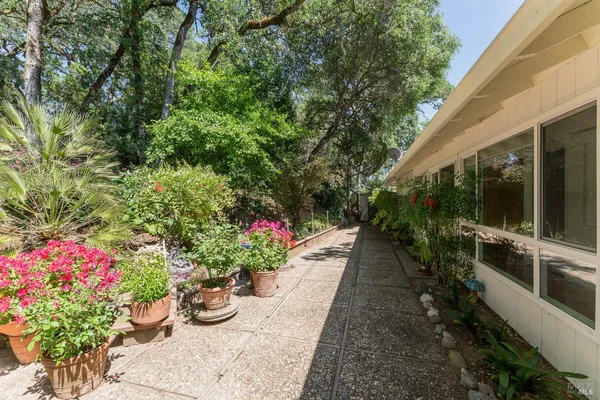 a view of a garden with flowers and flowers