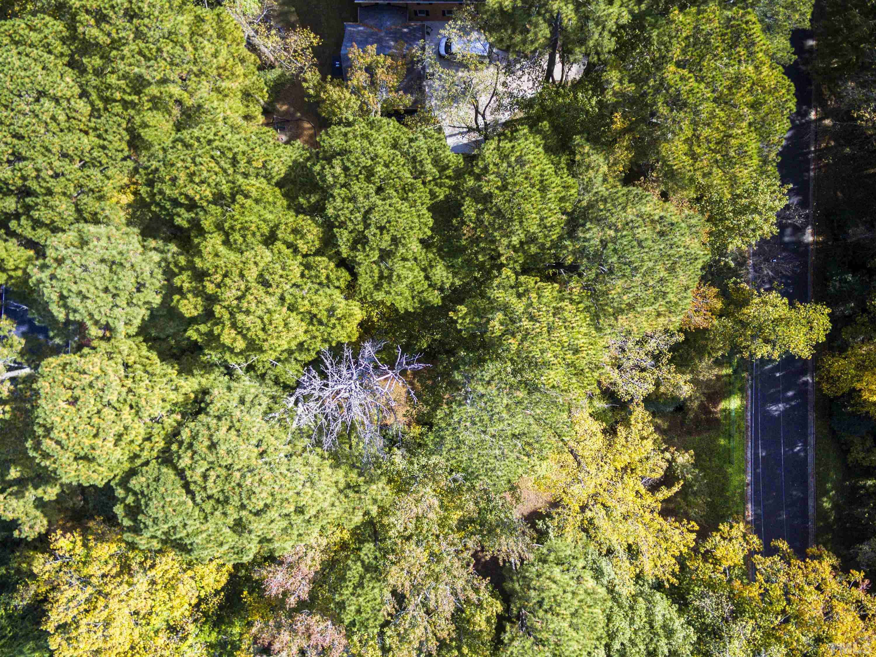 3020 Buckingham Road Durham, NC 27707 - Photo 1 of 5 Gallery Image 1