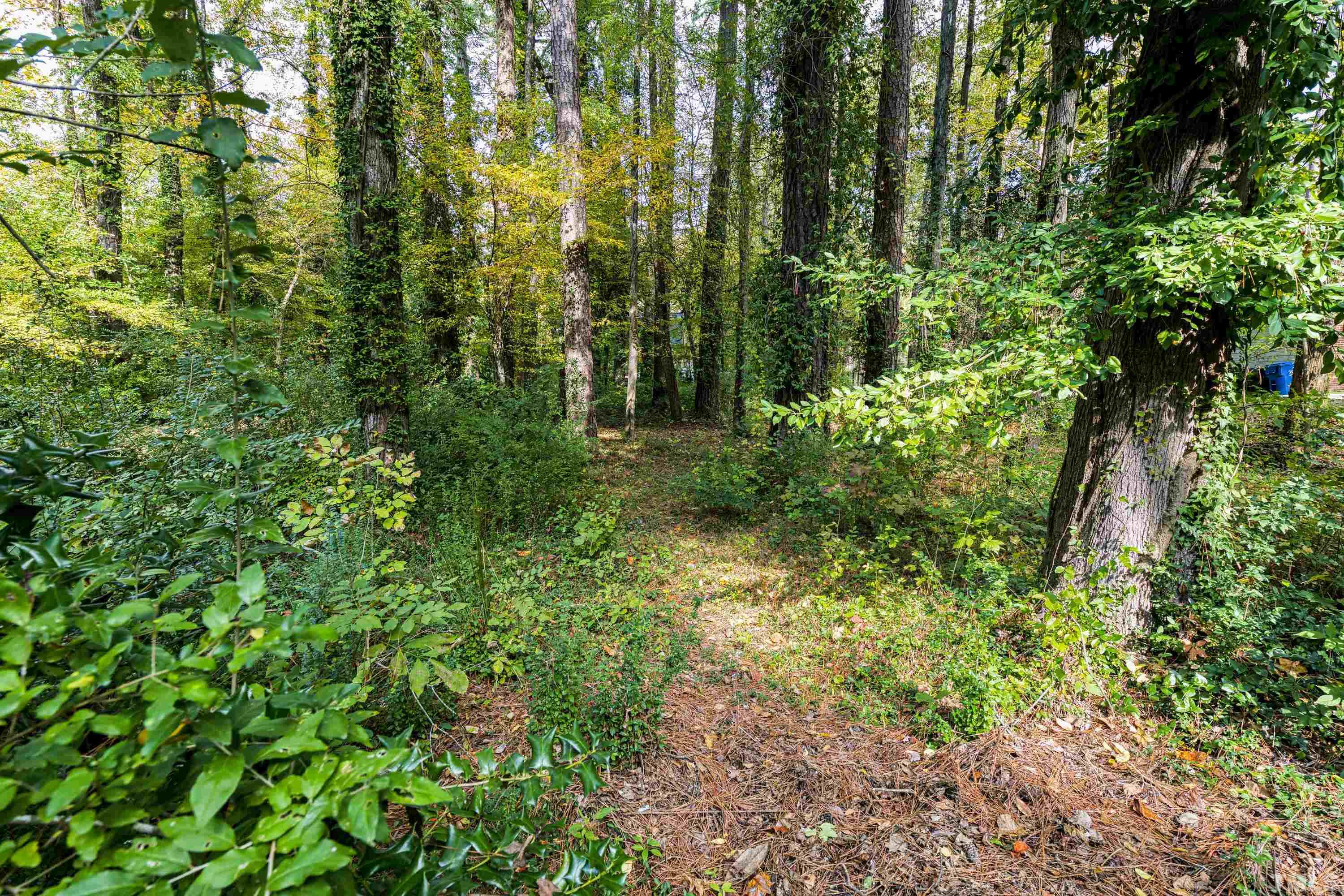 3020 Buckingham Road Durham, NC 27707 - Photo 5 of 5 Gallery Image 5