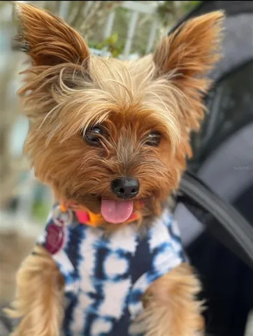 a view of a wooden floor
