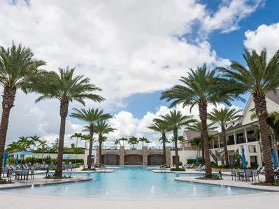 a view of multiple palm trees