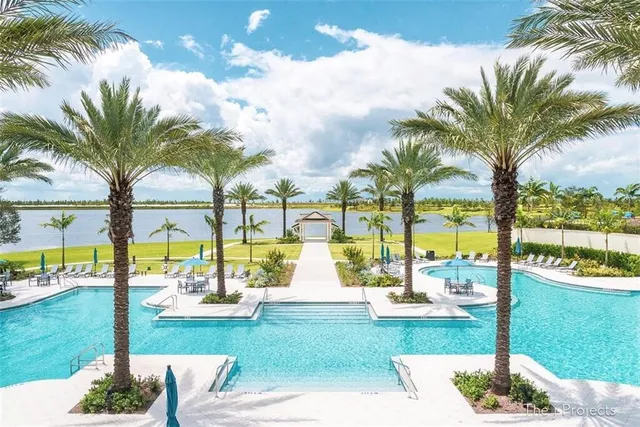 a view of a palm trees and swimming pool