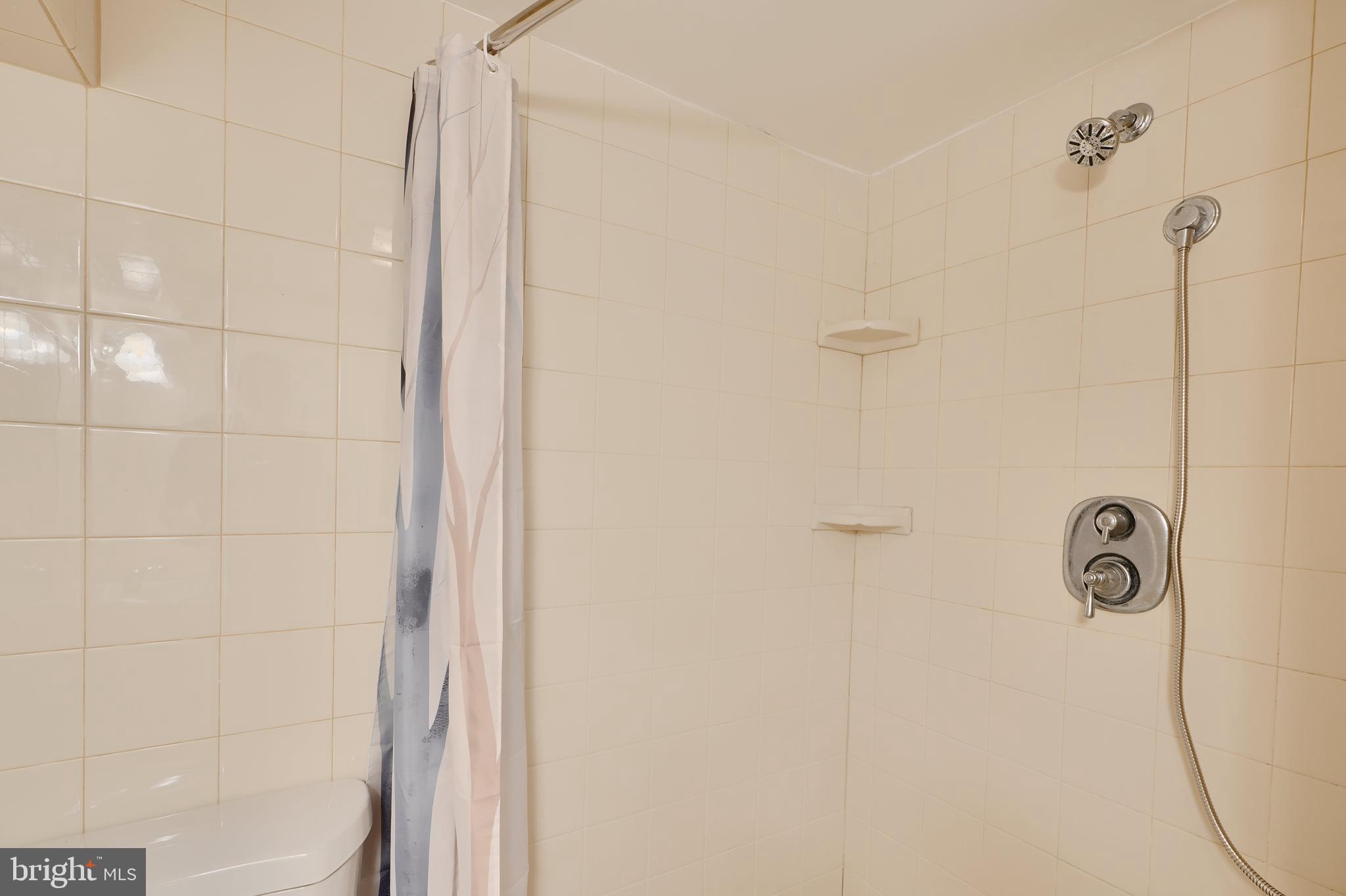 6409 Eastern Parkway Baltimore, MD 21214 - Photo 41 of 56 a bathroom with a shower