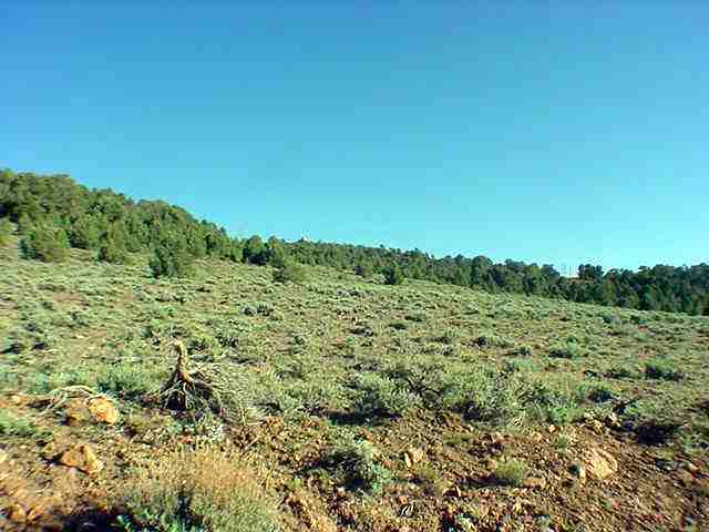 1160 Globe Road Reno, NV 89521 - Photo 1 of 1 Photo 1