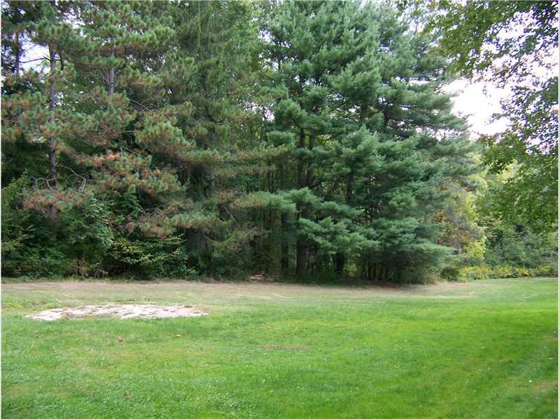 313 Parkhill Road Economy, PA 15005 - Photo 11 of 11 Yard/Garden.