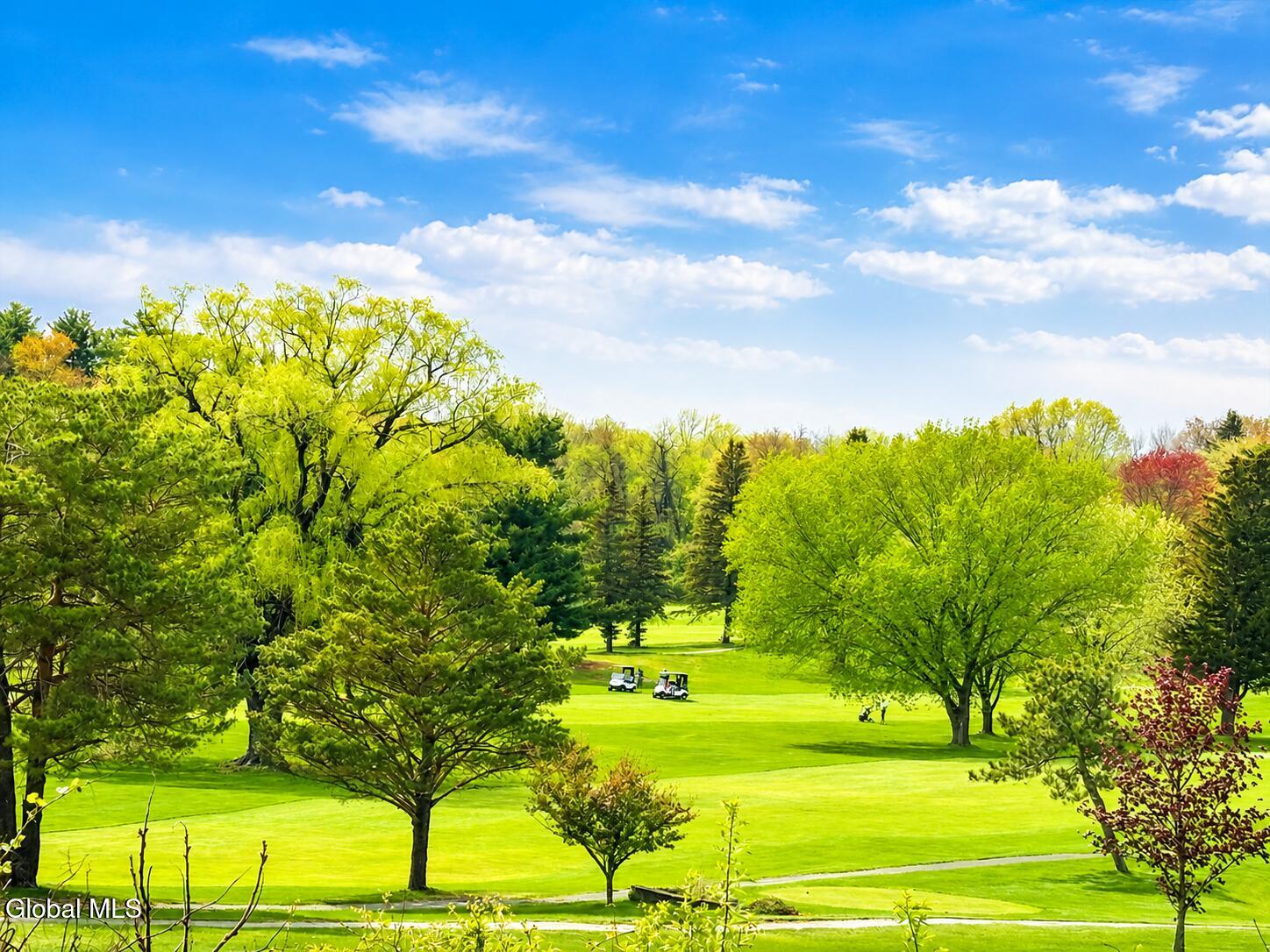 905 Balltown Road Niskayuna, NY 12309 - Photo 41 of 41 Golf course
