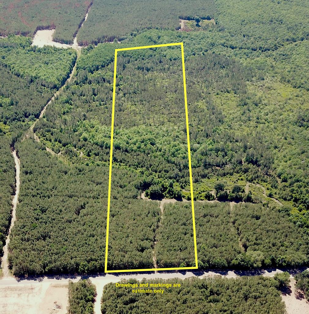 10 Mt Zion Road Gordon, AL 36343 - Photo 1 of 28