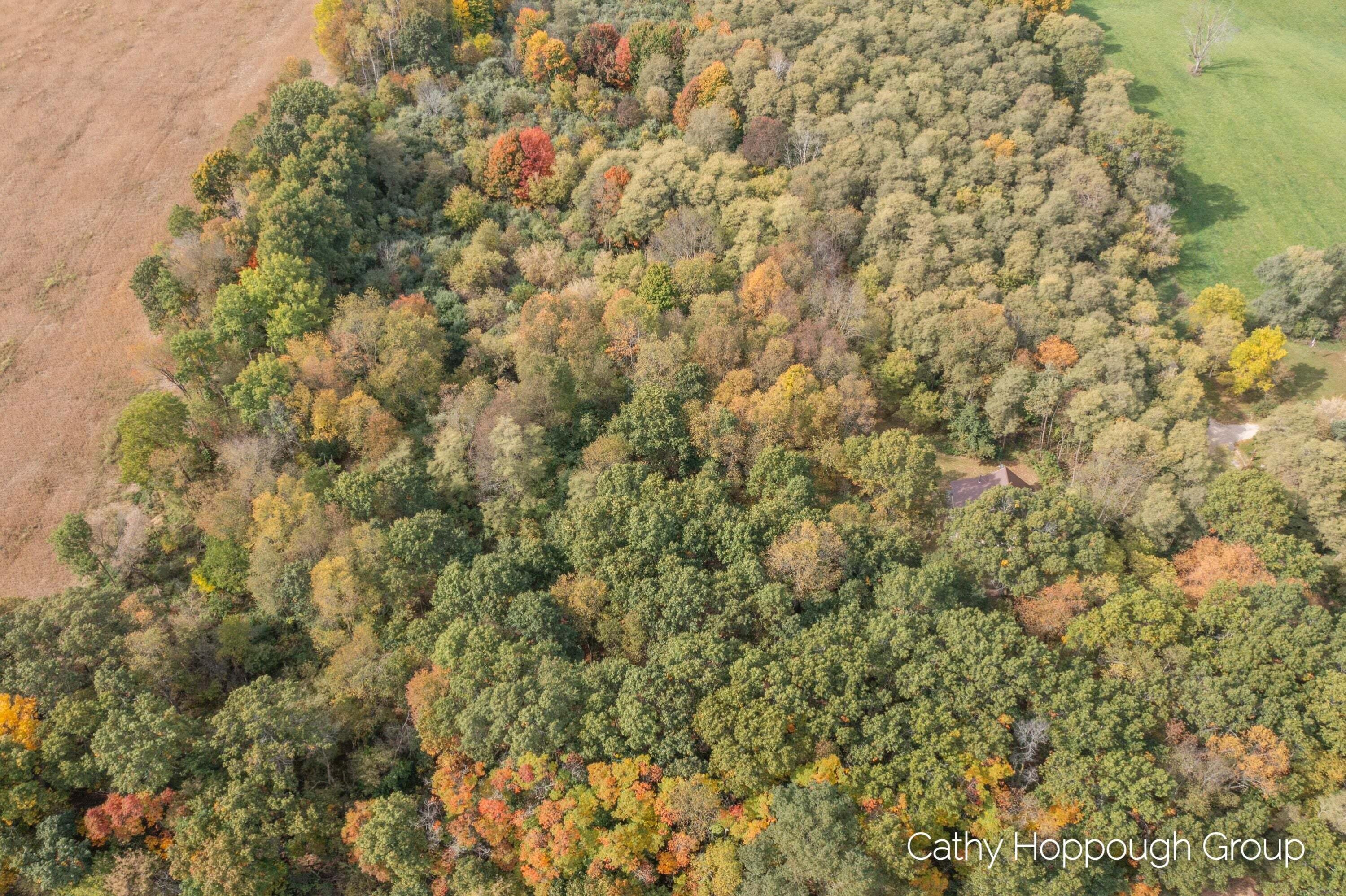 3982 East Bricker Road Fenwick, MI 48834 - Photo 25 of 27 3982 E Bricker_204