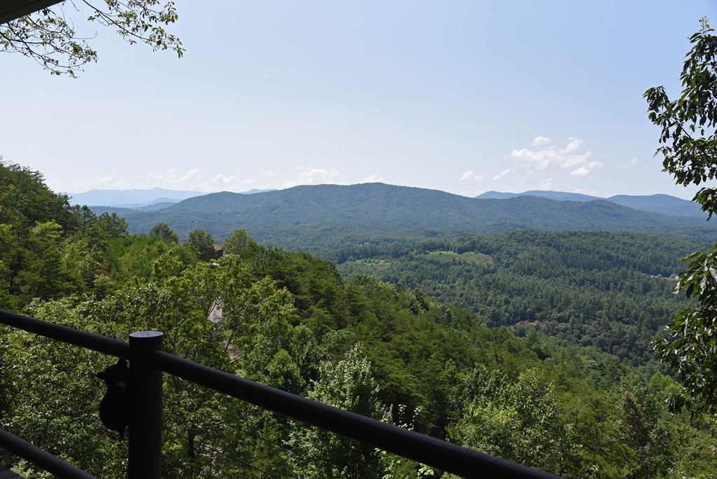 21 Locust Loop Lane Murphy, NC 28906 - Photo 71 of 74 Gallery Image 71
