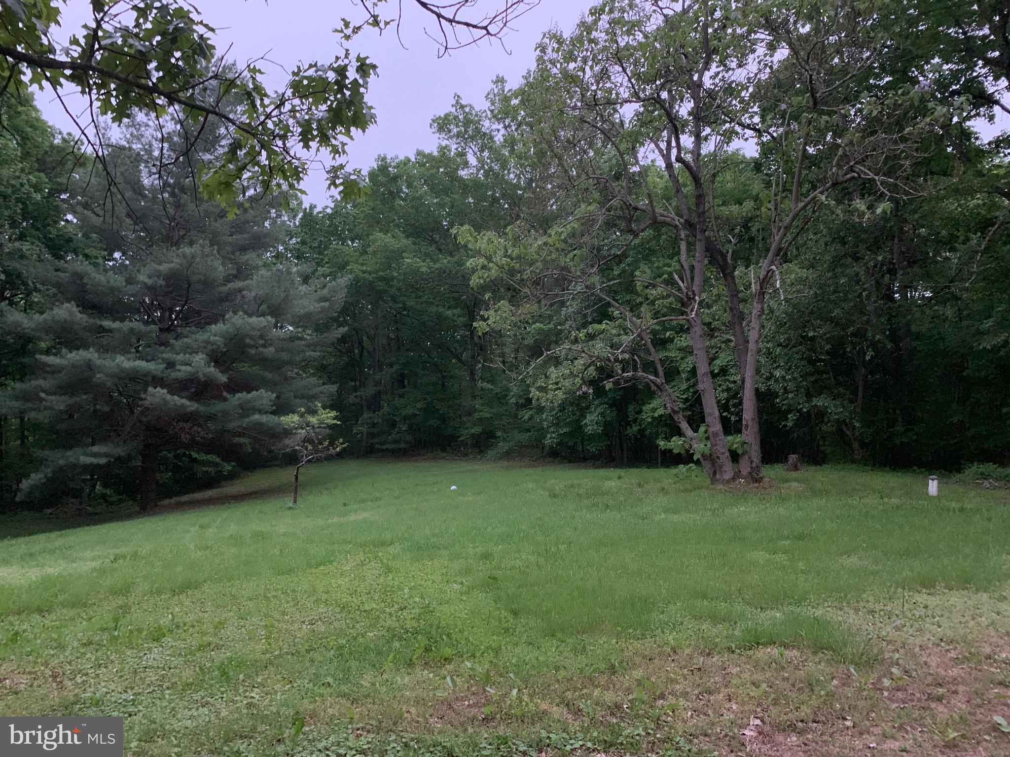 11595 Alum Springs Road Culpeper, VA 22701 - Photo 20 of 20 Gallery Image 20