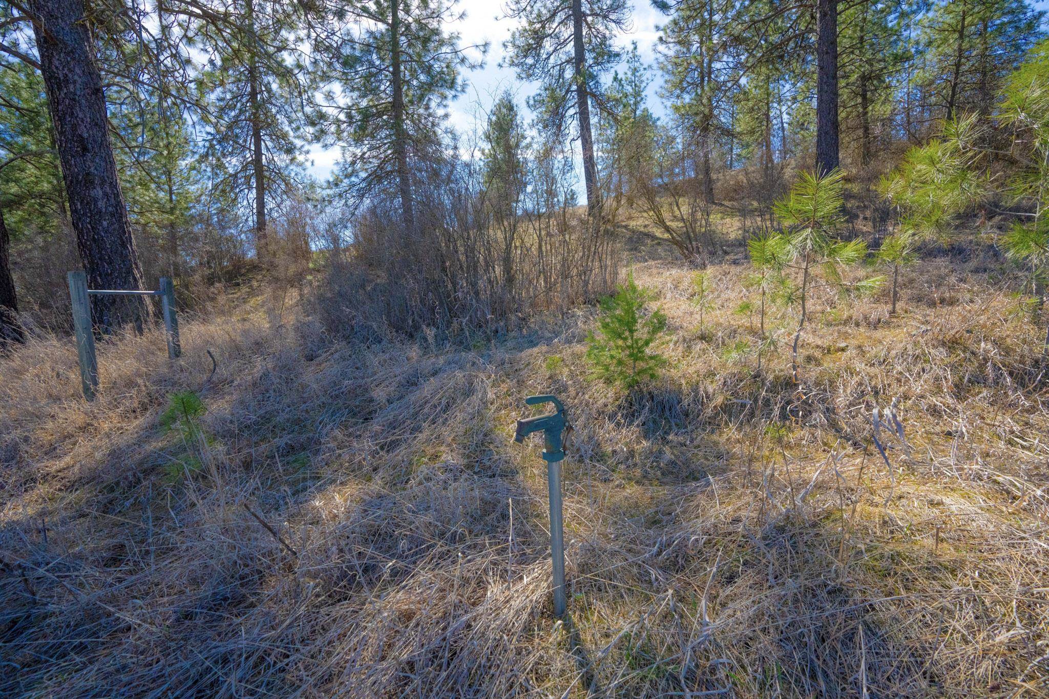 11317 South Fairway Ridge Lane Spokane, WA 99224 - Photo 29 of 36 Gallery Image 29