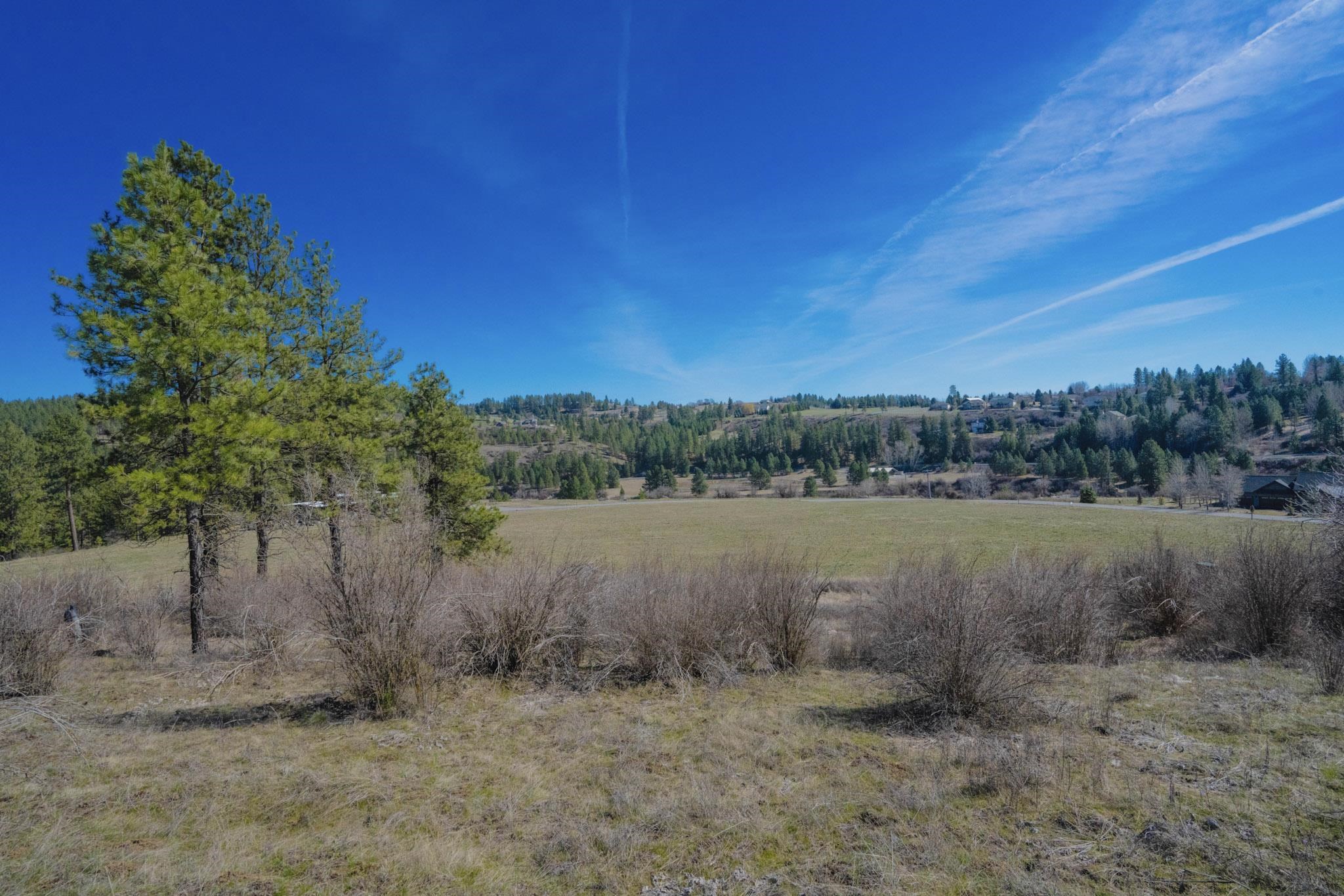 11317 South Fairway Ridge Lane Spokane, WA 99224 - Photo 33 of 36 Gallery Image 33