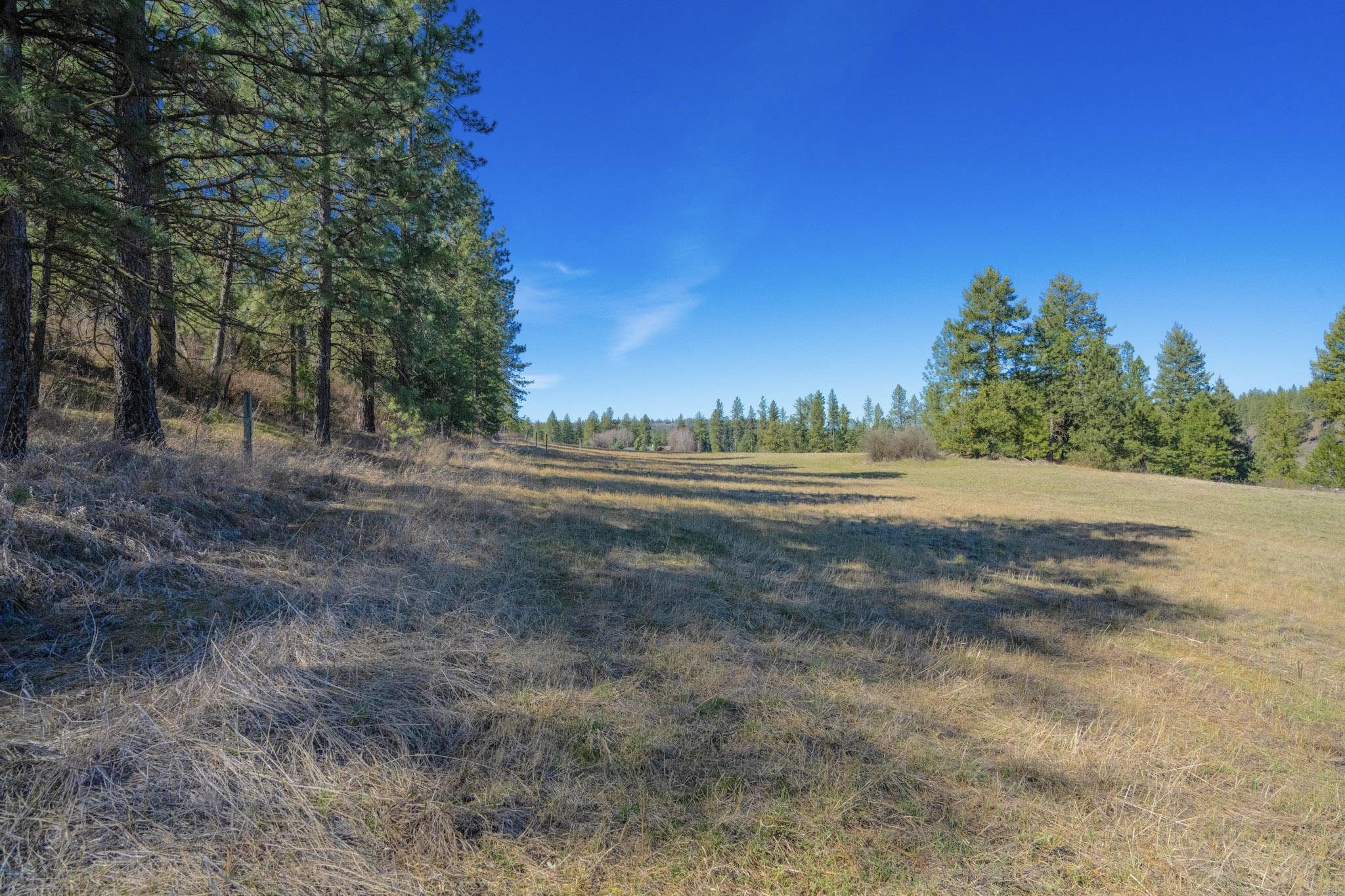 11317 South Fairway Ridge Lane Spokane, WA 99224 - Photo 9 of 36 Gallery Image 9