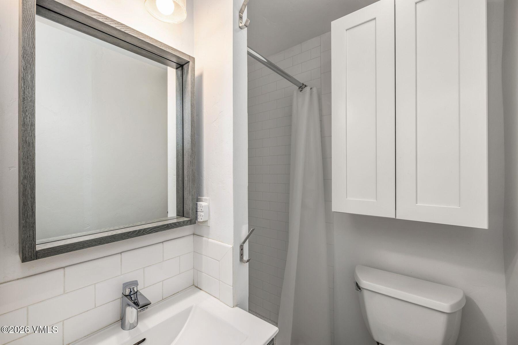 115 Nelson Avenue Minturn, CO 81645 - Photo 17 of 31 photo_online_016