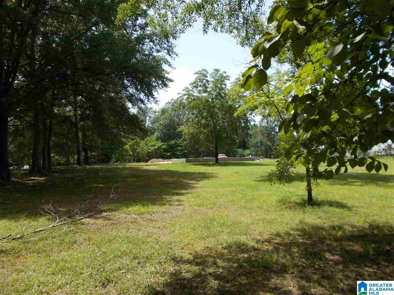 234 Simpson Road Odenville, AL 35120 - Photo 15 of 22