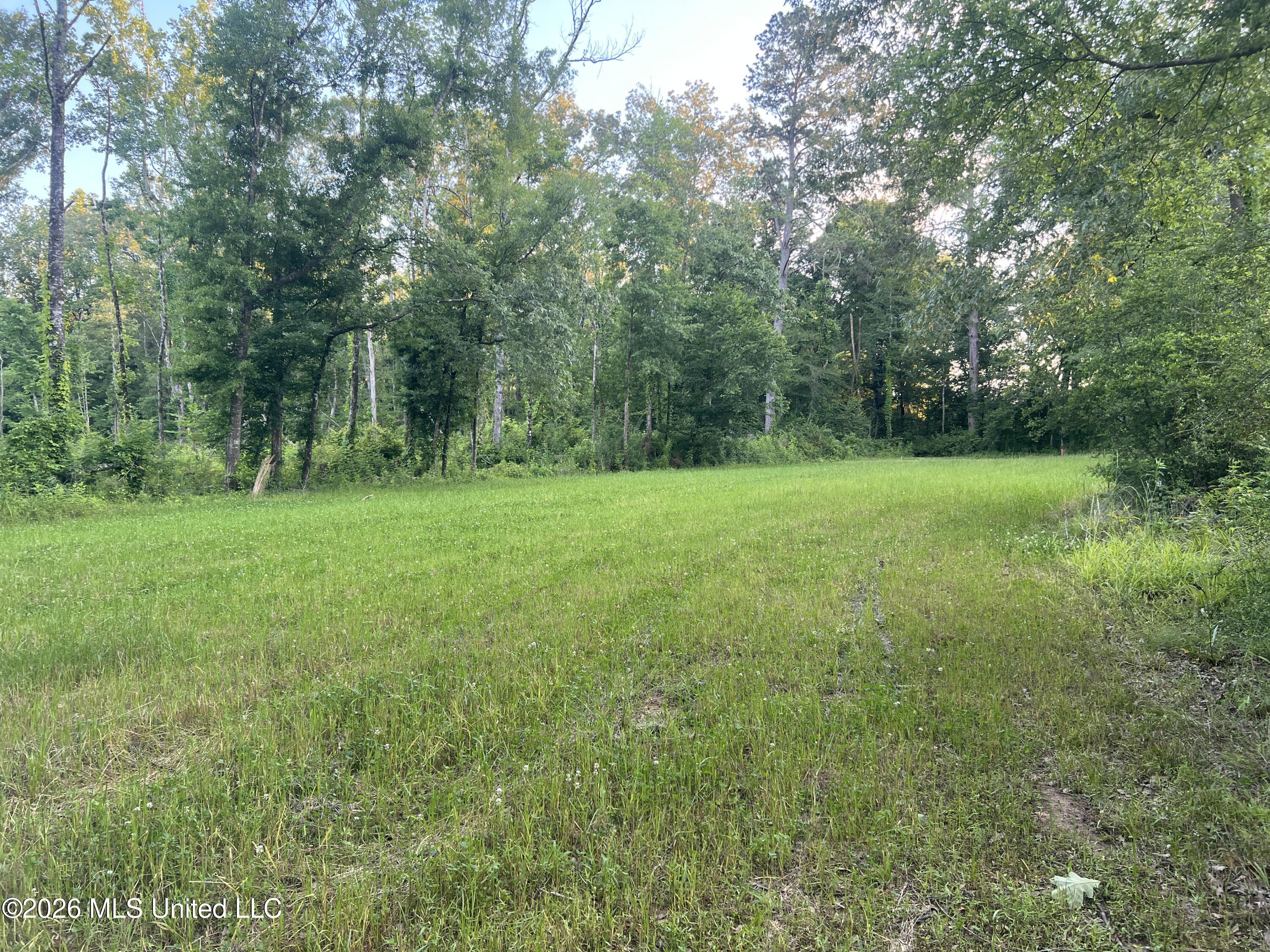 5734 Hebron Road Liberty, MS 39645 - Photo 21 of 32 21.