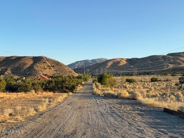 Barrel Springs Palmdale, CA 93552 - Photo 2 of 19 IMG_0317