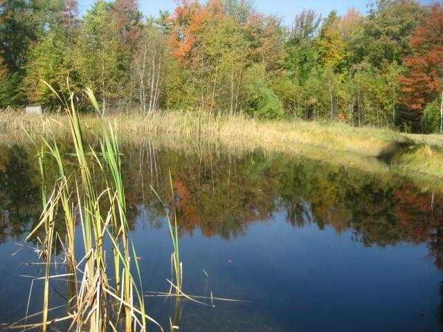 276 Hooper Road Shapleigh, ME 04076 - Photo 18 of 21 Yard/Garden.