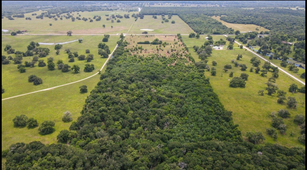 5865 FM 524 Road Sweeny, TX 77480 - Photo 8 of 8 View from back of property