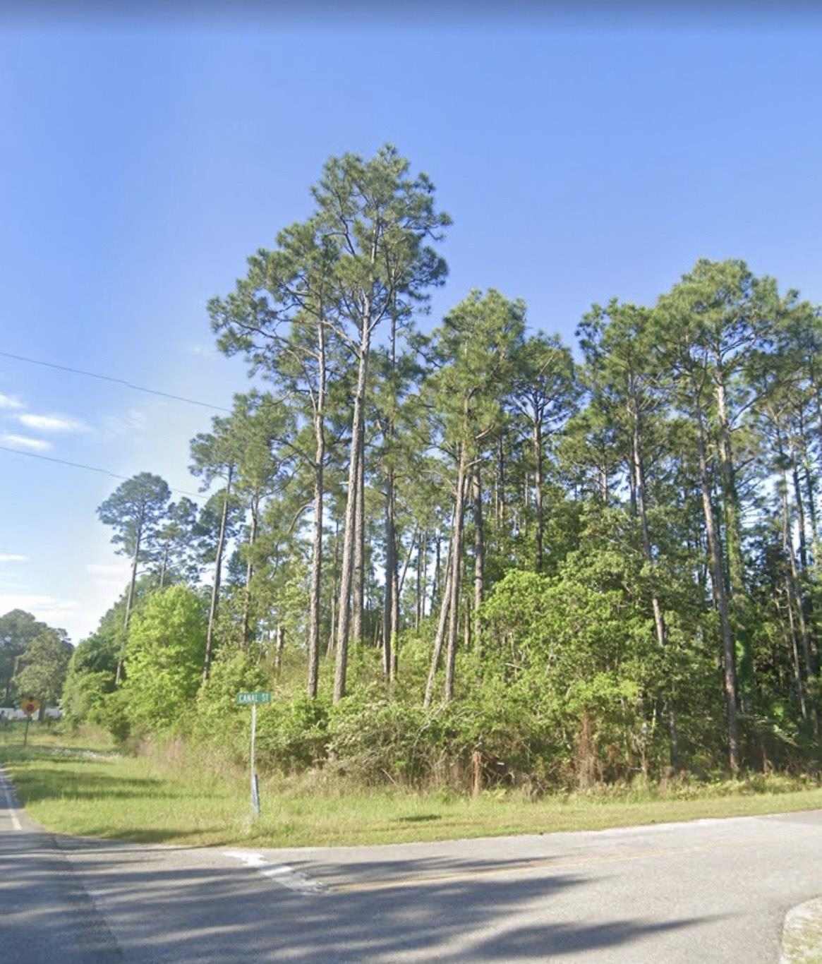 0 Canal Street Elberta, AL 36530 - Photo 1 of 8