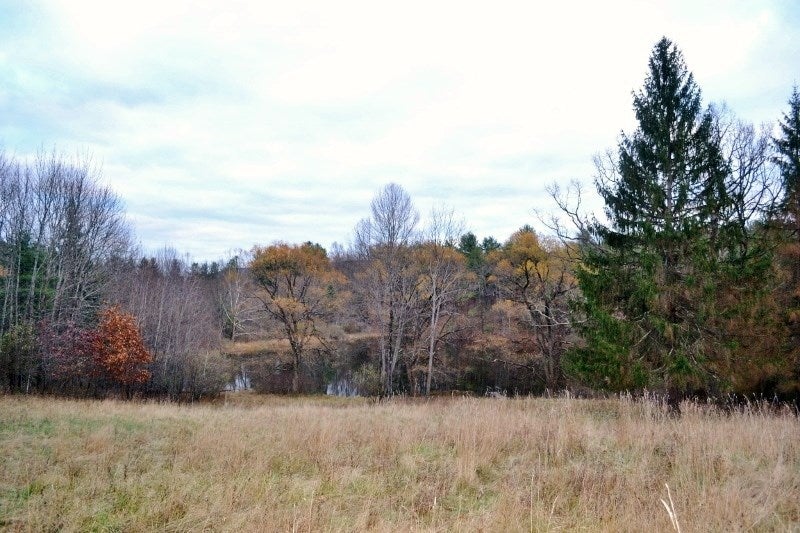 1809 Crayton Road Monroeton, PA 18832 - Photo 65 of 75 Gallery Image 65