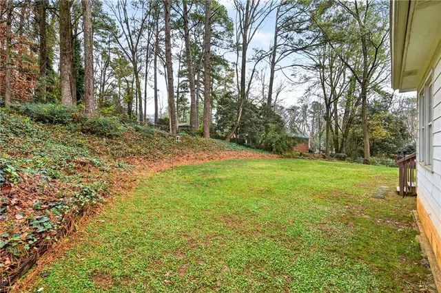 a view of a yard with palm trees