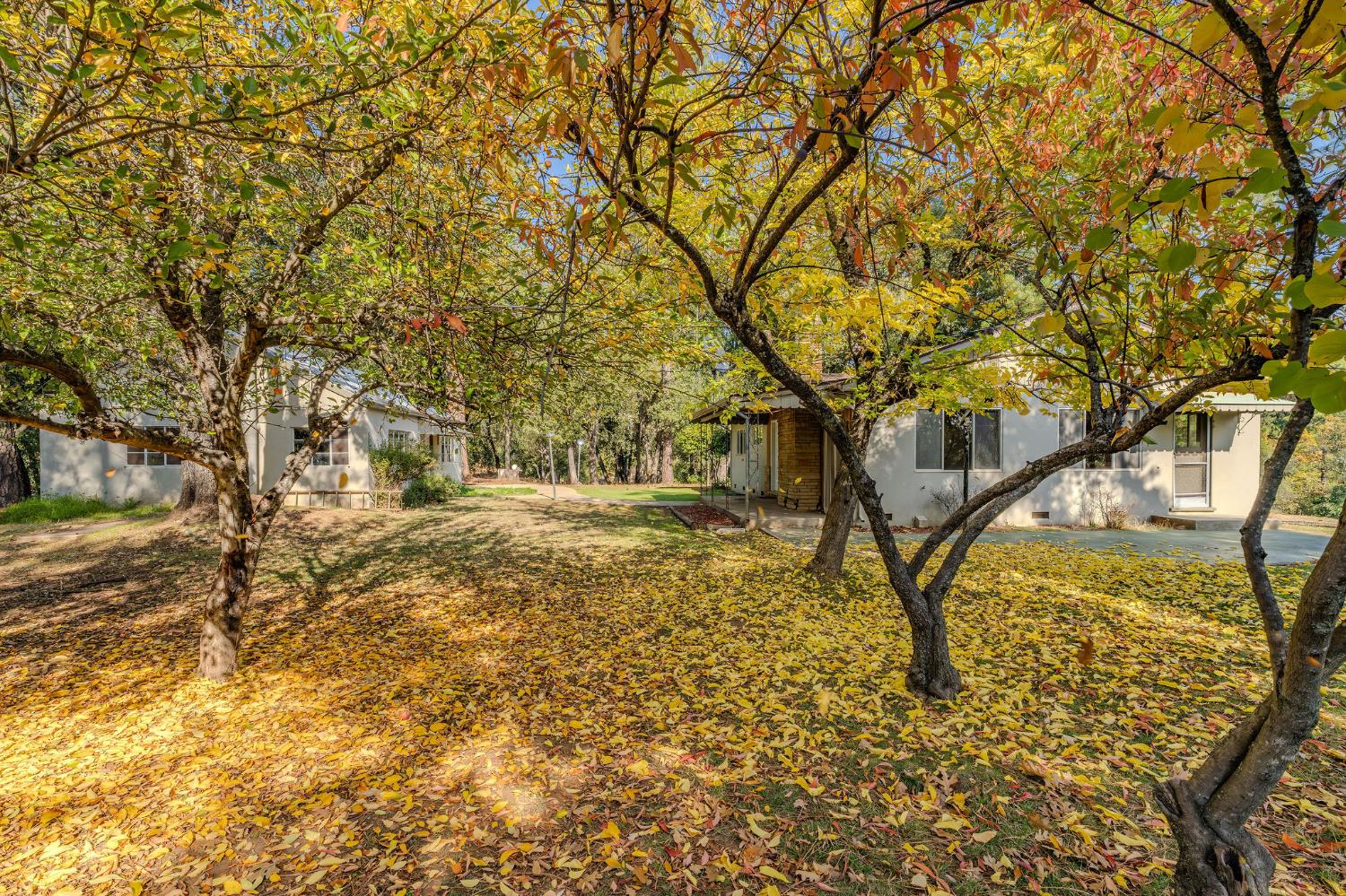 13309 Taves Road Jackson, CA 95642 - Photo 19 of 62