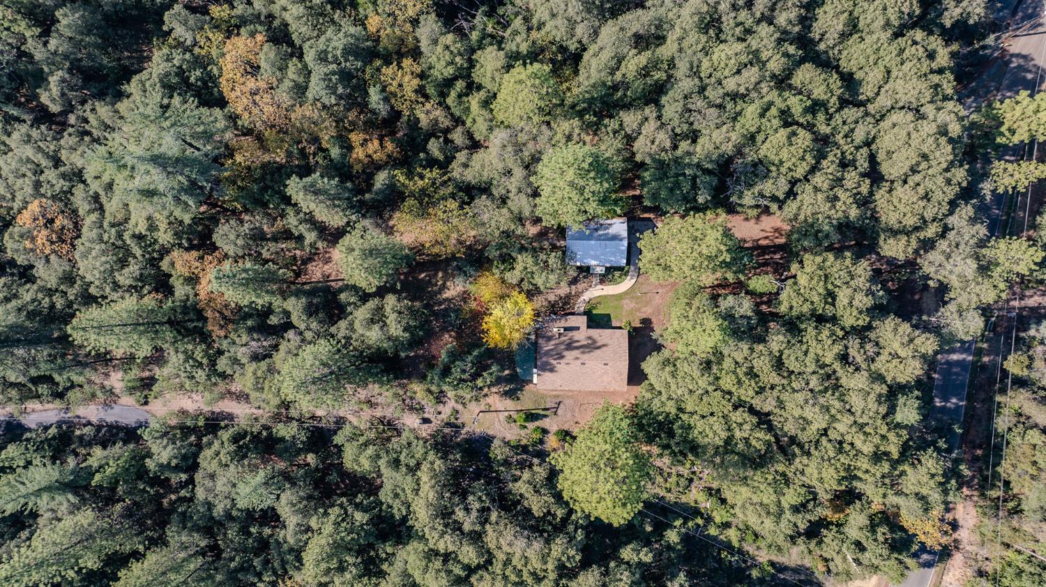 13309 Taves Road Jackson, CA 95642 - Photo 26 of 62