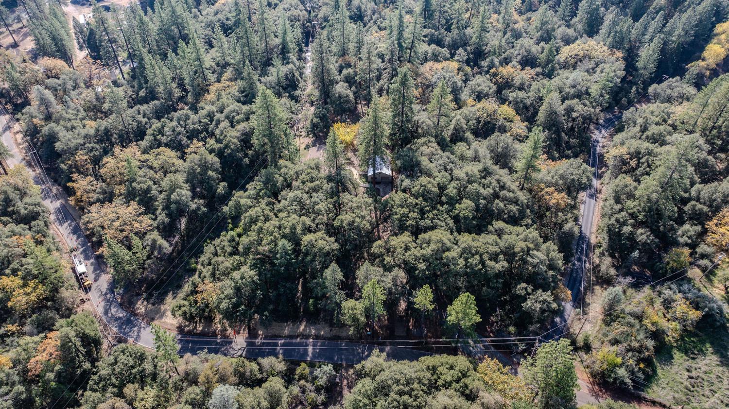 13309 Taves Road Jackson, CA 95642 - Photo 27 of 62 a view of a yard