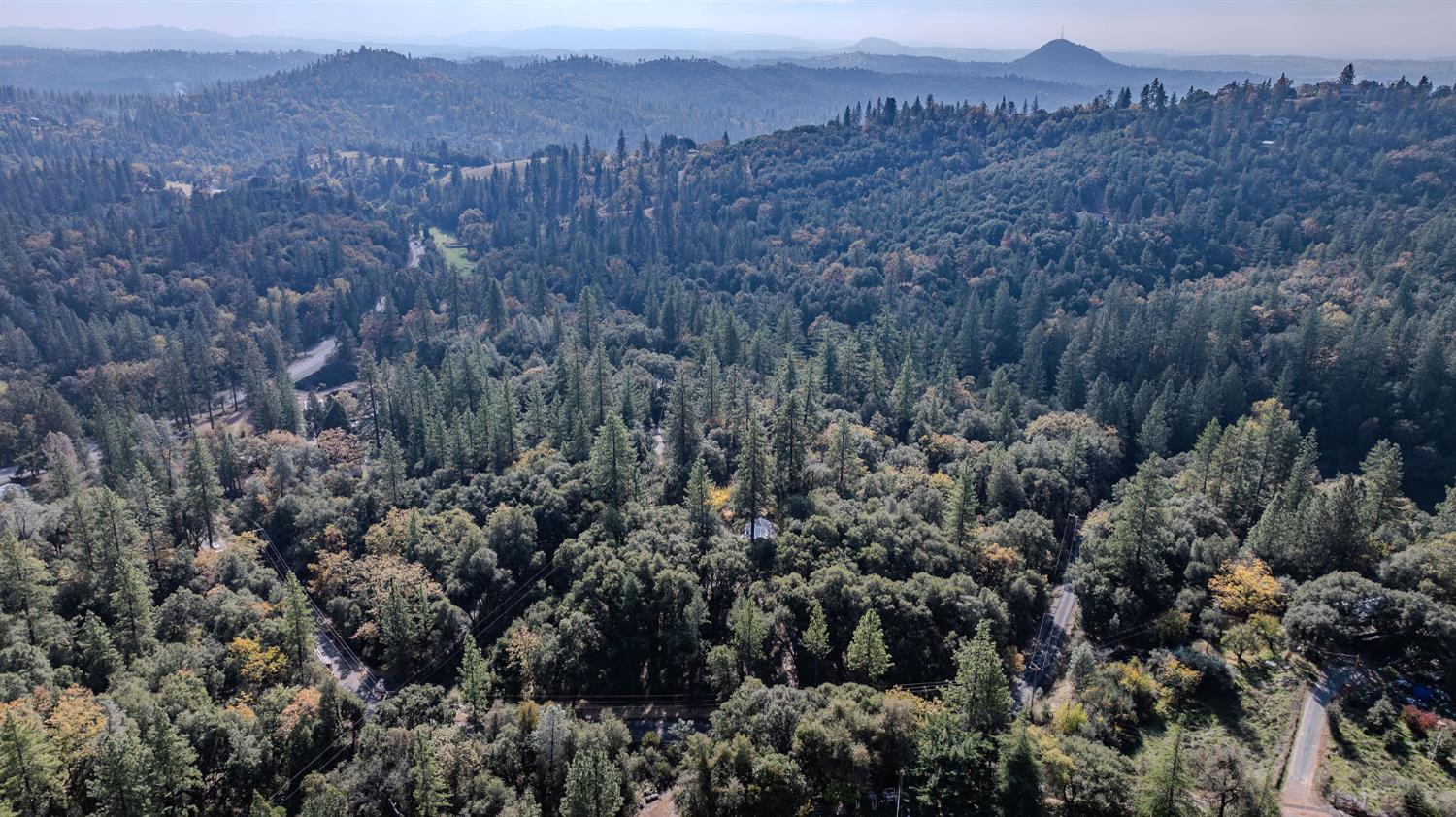 13309 Taves Road Jackson, CA 95642 - Photo 28 of 62 a view of a lush green field