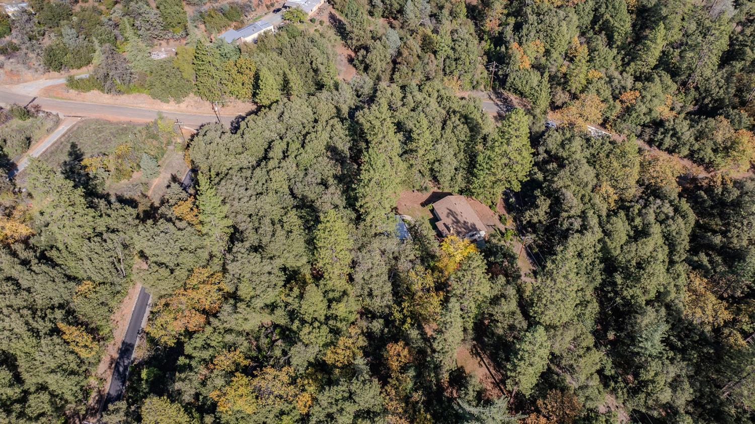 13309 Taves Road Jackson, CA 95642 - Photo 29 of 62