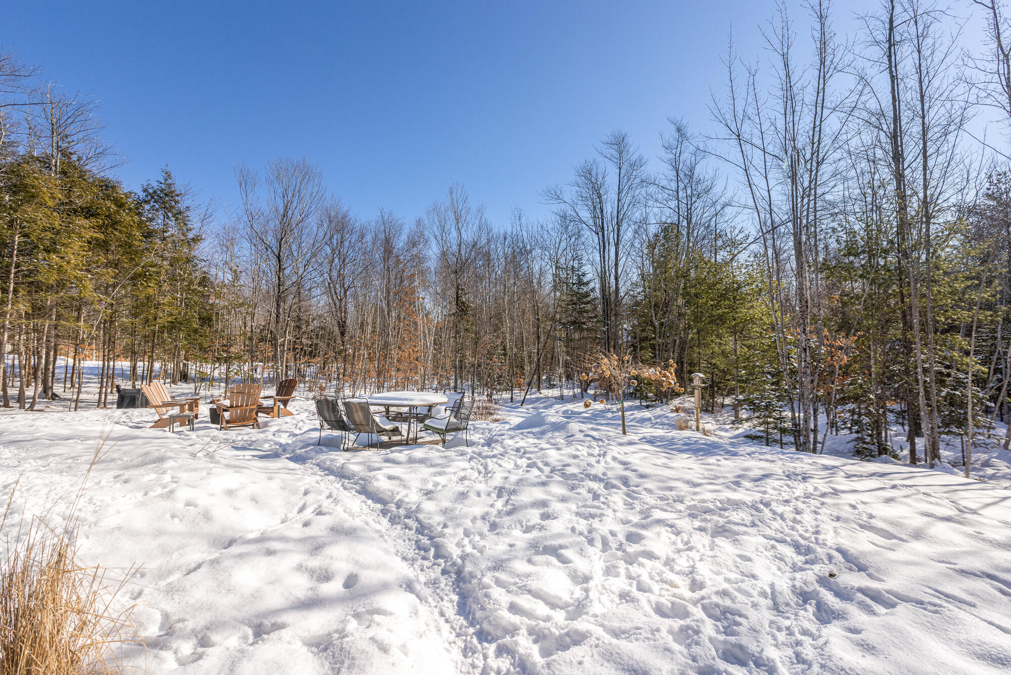 9 Peter Robin Way Freeport, ME 04032 - Photo 62 of 77 Back Yard-2