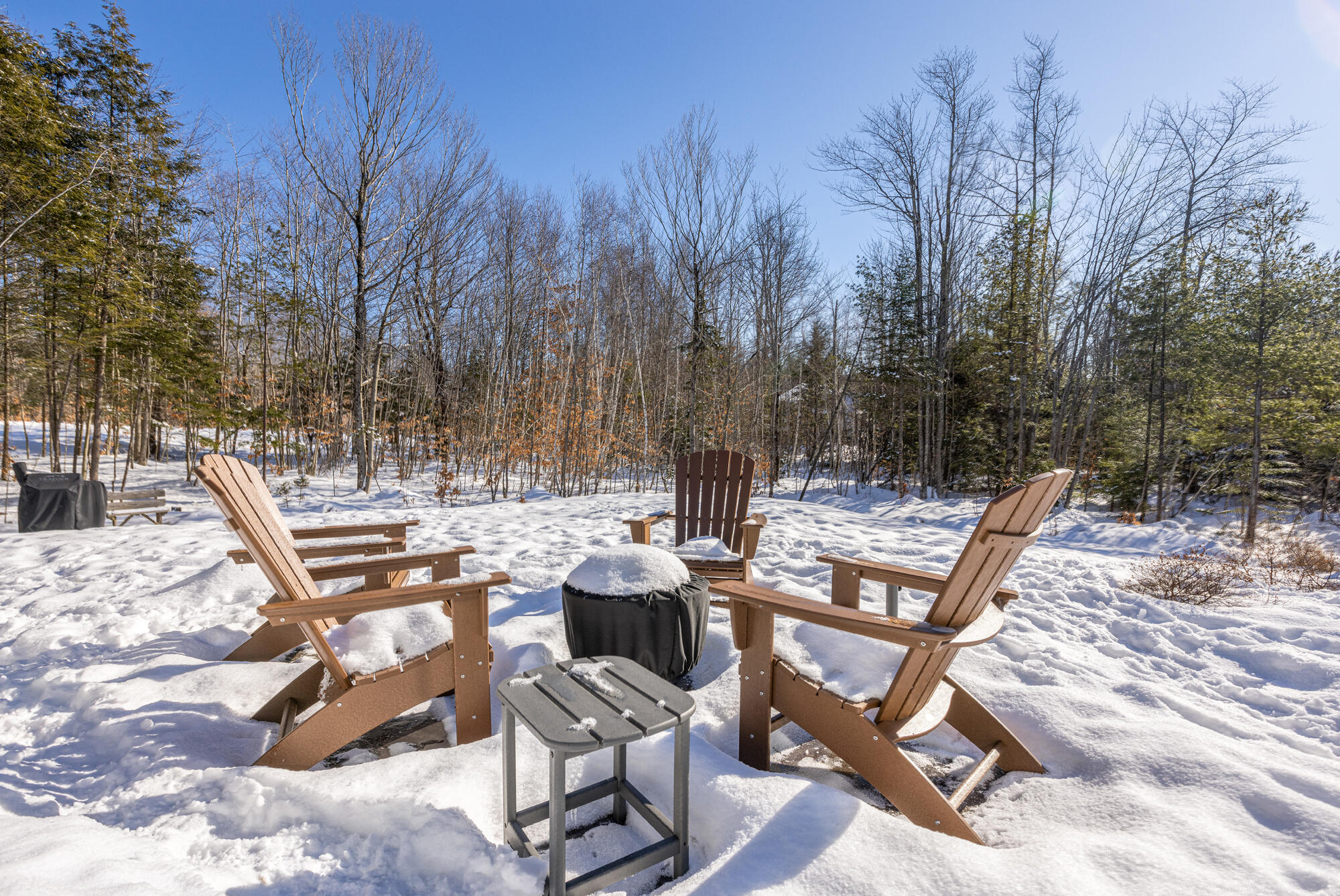 9 Peter Robin Way Freeport, ME 04032 - Photo 64 of 77 Back Yard-3