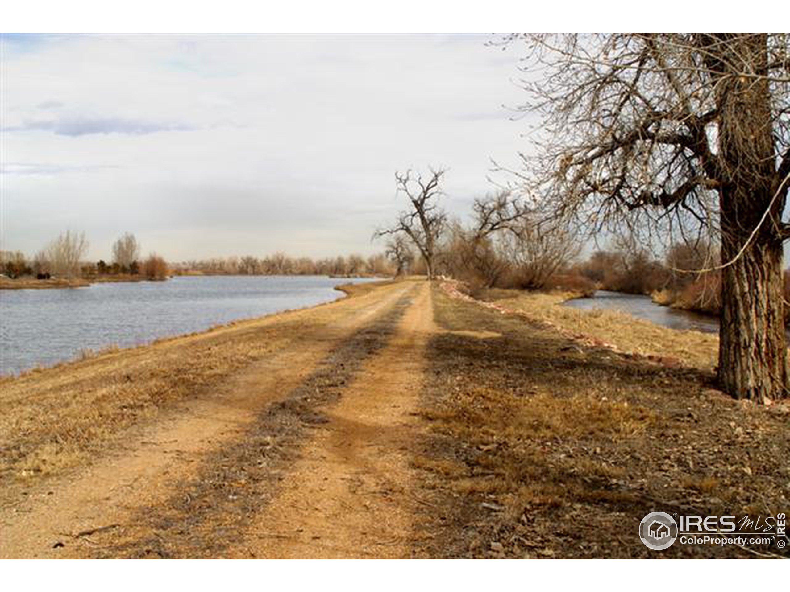 1757 County Road Longmont, CO 80501 - Photo 13 of 15