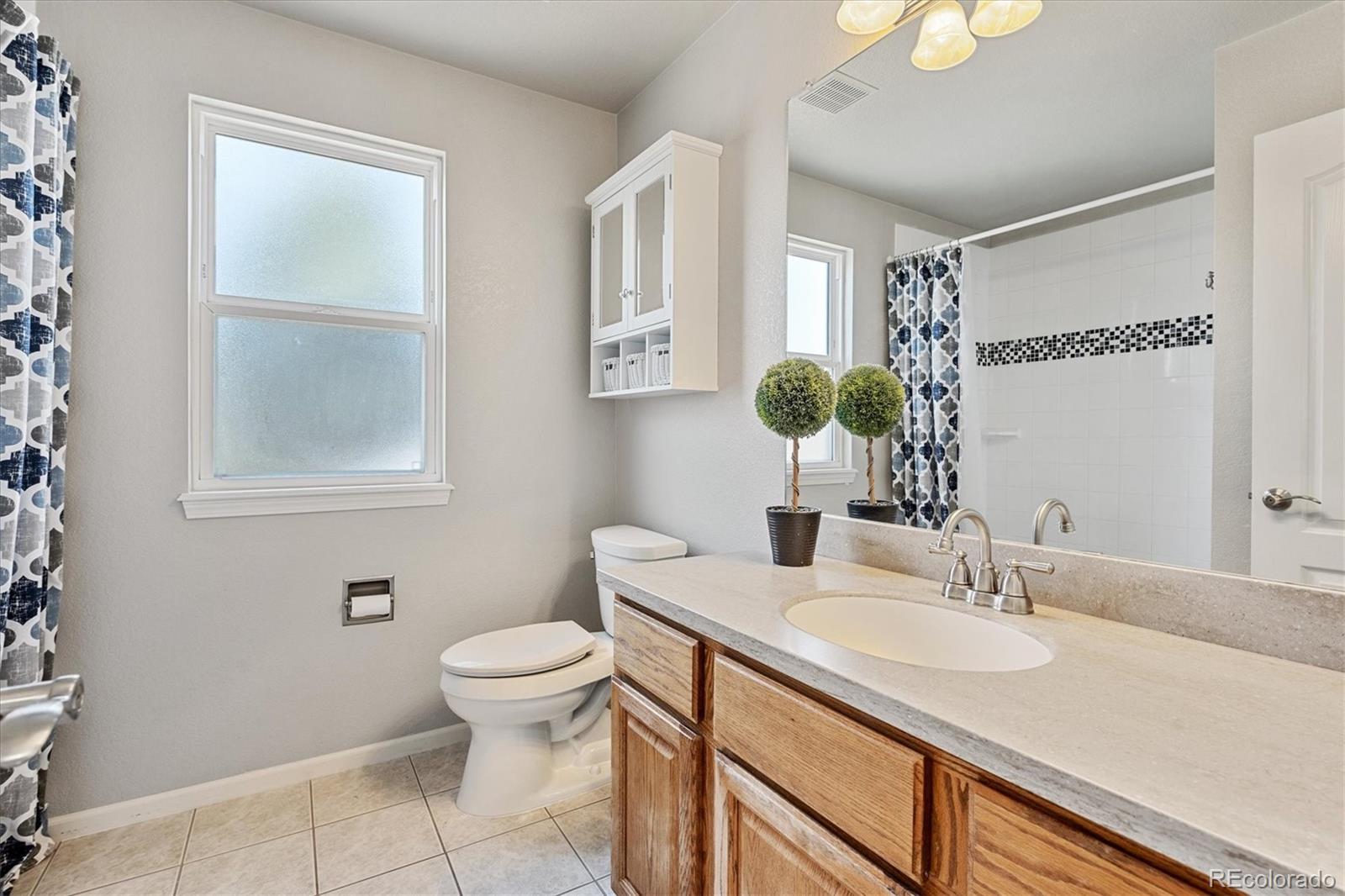 10058 Sylvestor Road Highlands Ranch, CO 80129 - Photo 19 of 27 Gallery Image 19